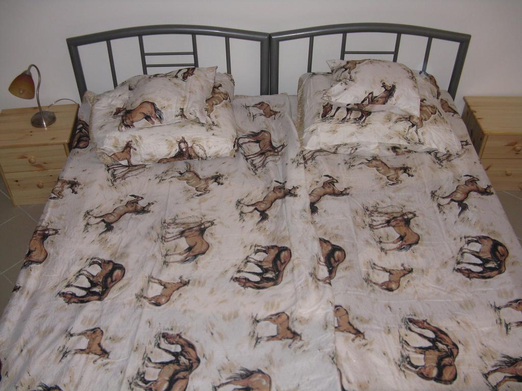 Guest house Karpati *