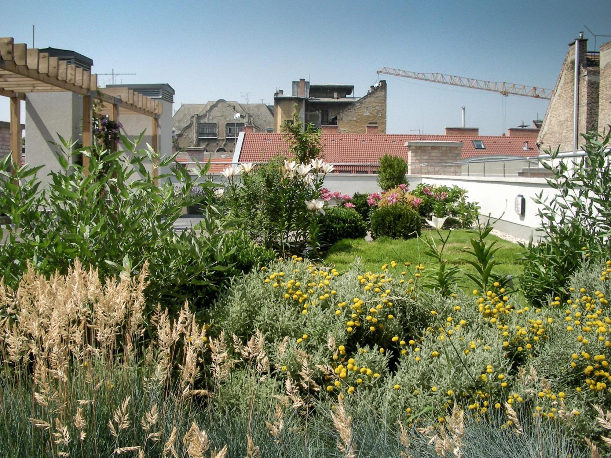 Paulay65 - With 24h Reception Apartment *