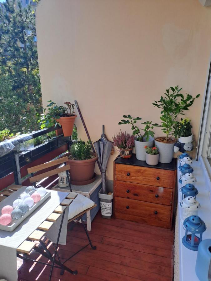 Apartman Cozy