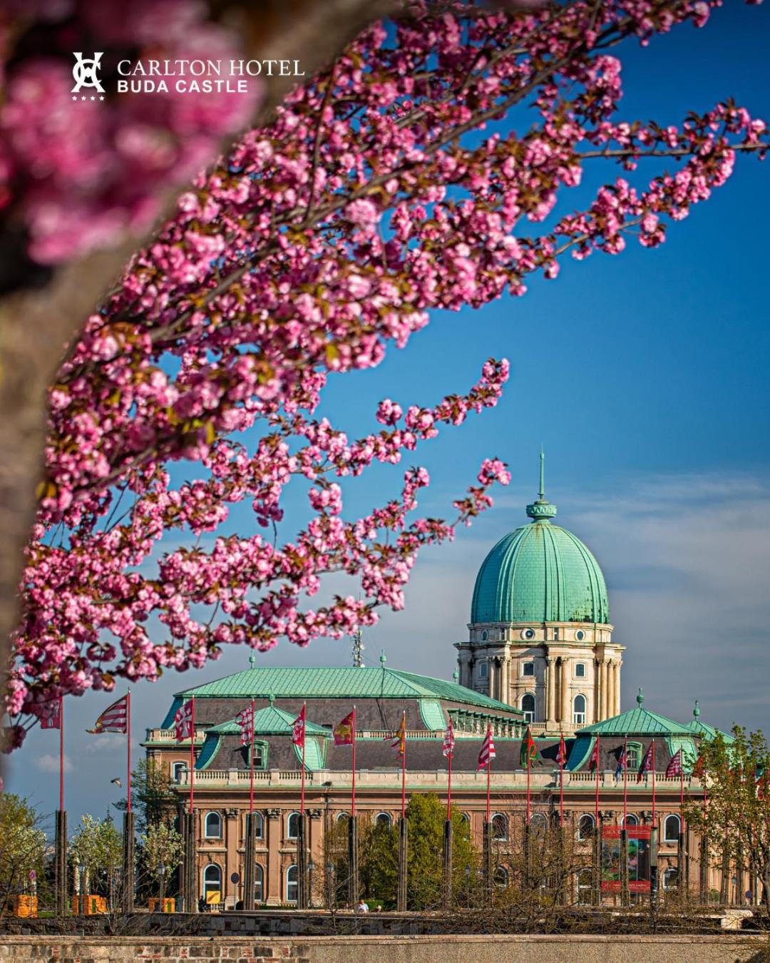 Carlton Buda Castle 4*
