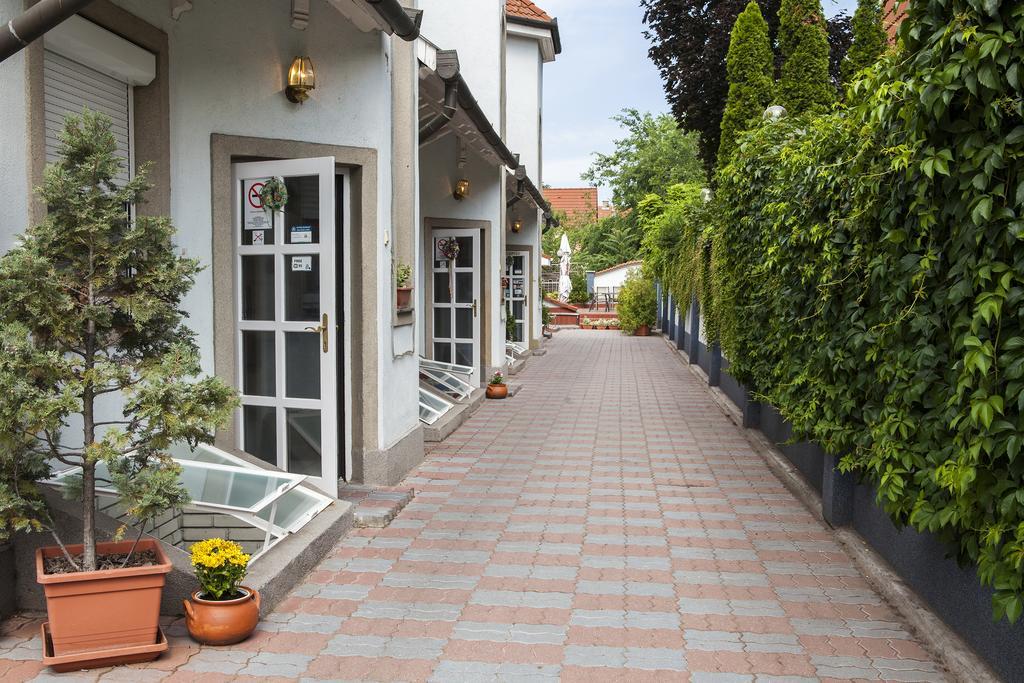 Passzio Panzio Guest house 3*