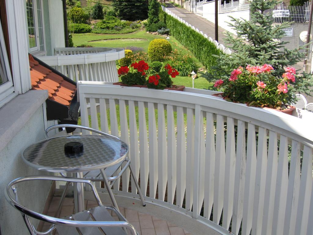 Hotel Molnar