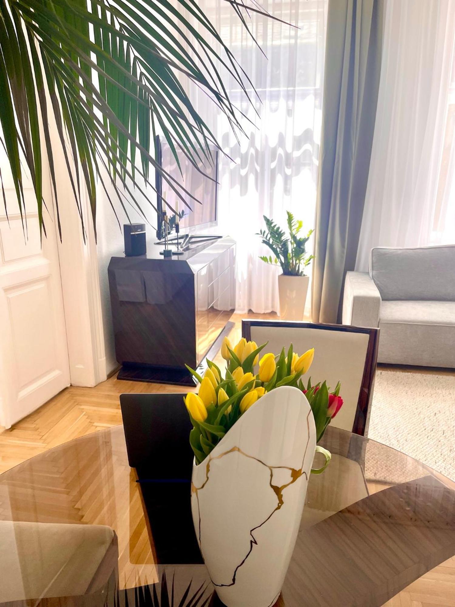 Aviator Luxury Apartment In The City Center Apartment Budapest